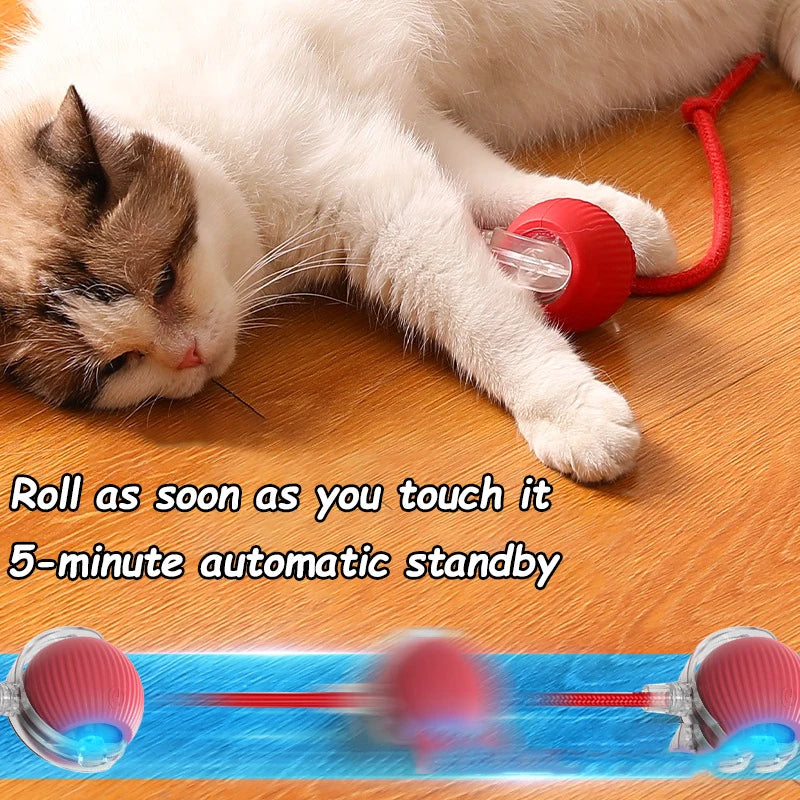 Brinquedo interativo para Gatos FelineBall